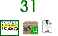 31